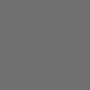 Gris Ultra Brillant - 100.48007